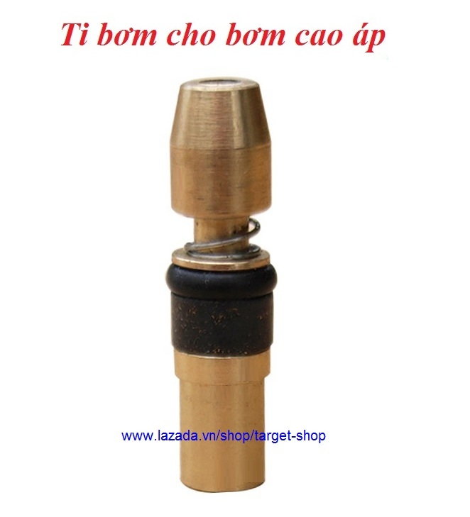 Ti Bơm Cao Áp,Ti Đồng, Ty bơm (1 Cái)