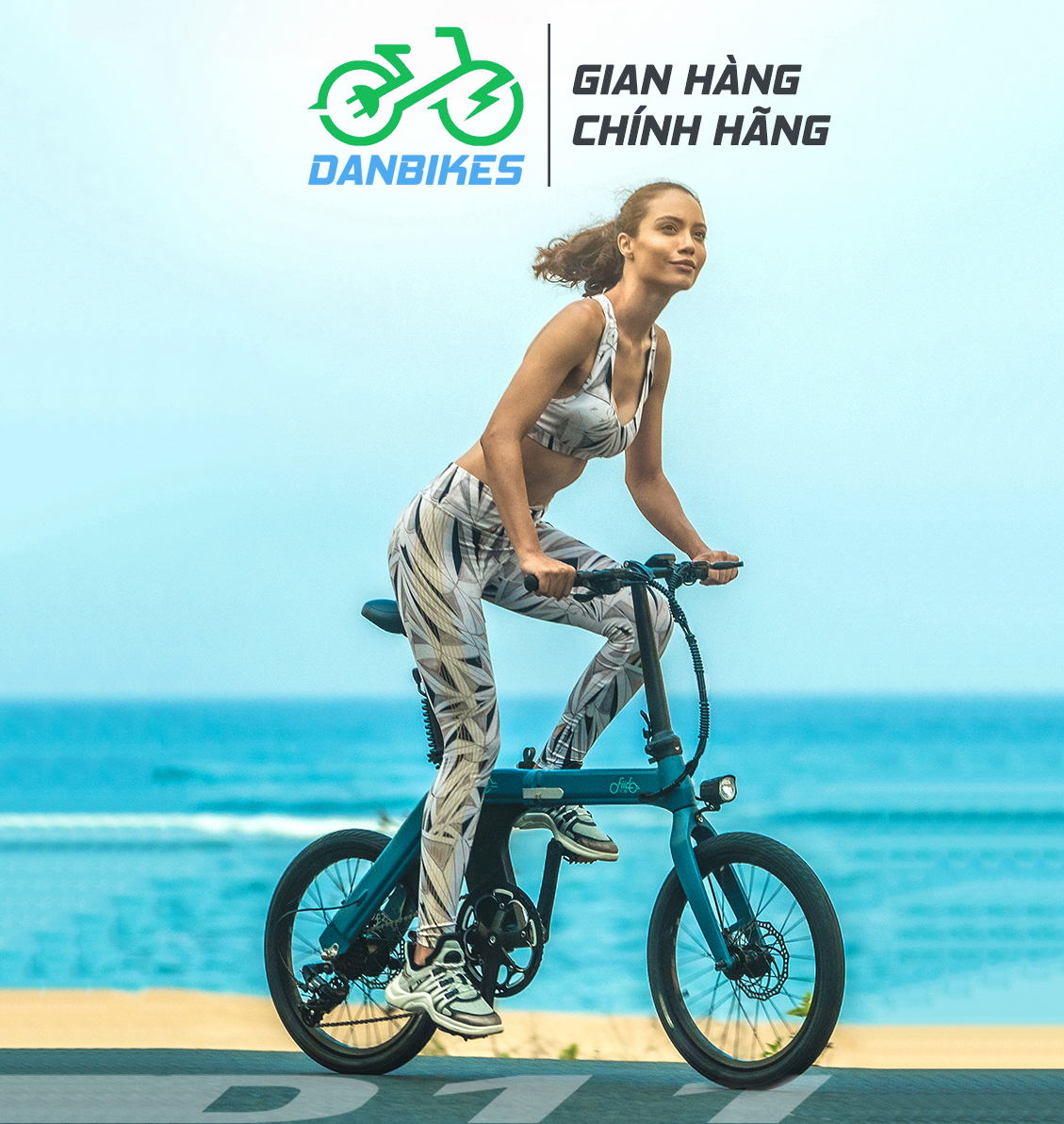 Xe đạp điện gấp gọn cao cấp fiido d11