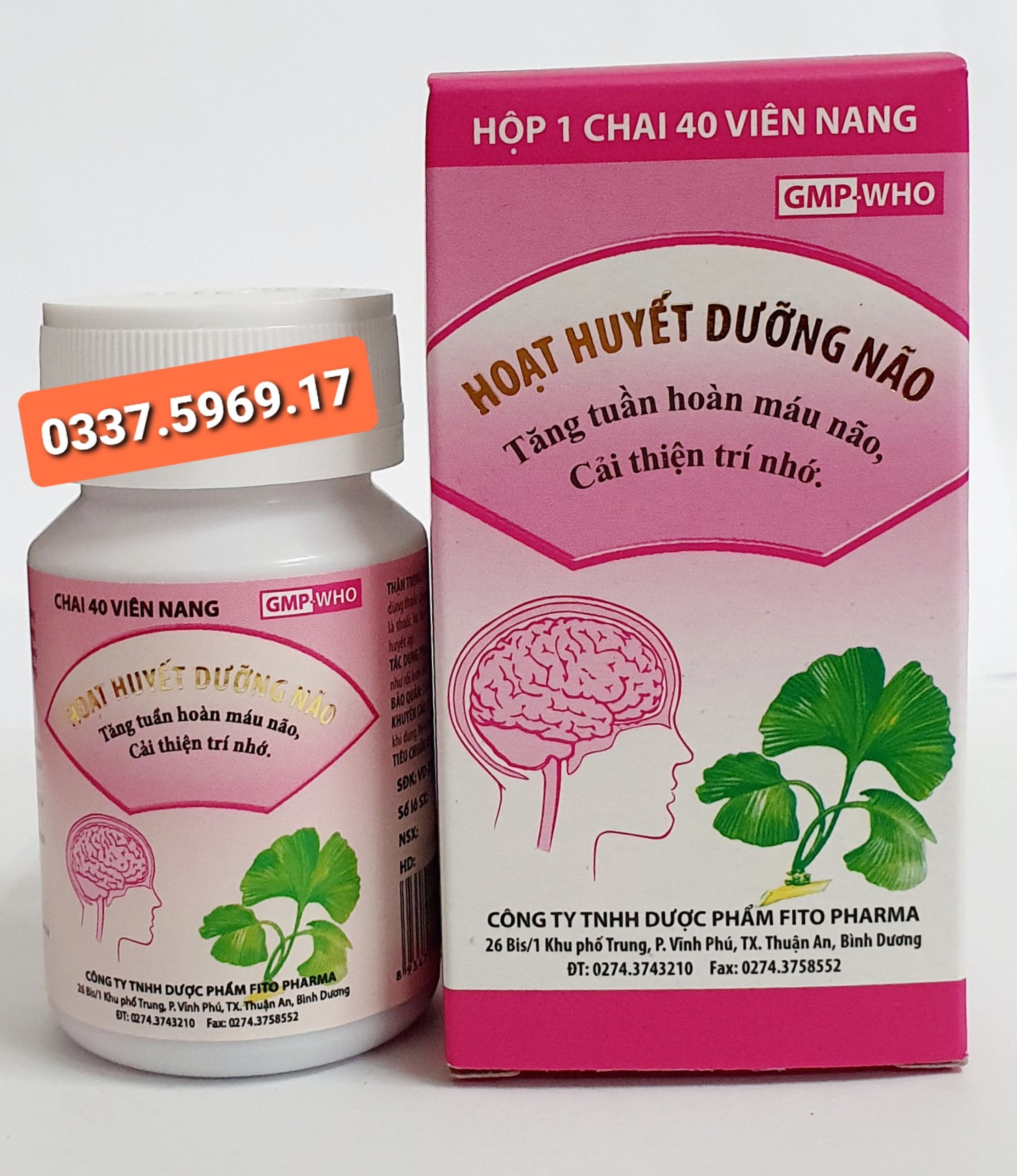 HOẠT HUYẾT DƯỠNG NÃO FITO - TĂNG TUẦN HOÀN MÁU NÃO - CẢI THIỆN TRÍ NHỚ
