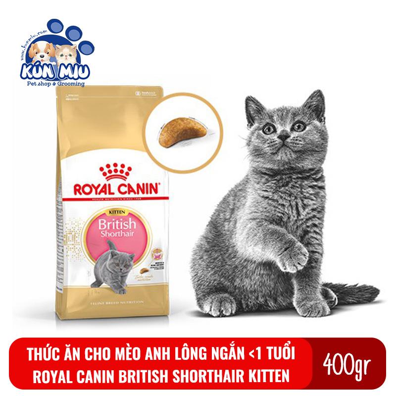 Thức ăn cho mèo con giống Anh lông ngắn Royal Canin British Shorthair Kitten túi 400g