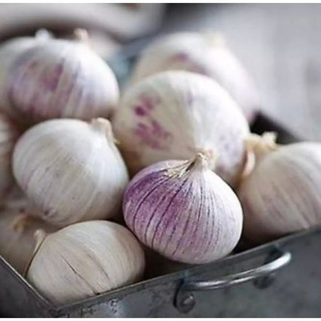 2kg tỏi cô đơn