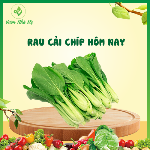 [Giao nội thành Hà Nội] Rau cải chíp Vườn Nhà Mẹ - 1kg rau cải thìa tươi ngon, giàu chất xơ và vitamin - Rau củ quả tươi, sạch, chuẩn VietGap