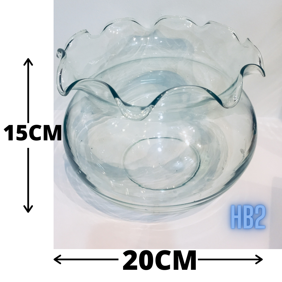 Hồ cá để bàn Bể cá Mini thủy sinh TAI BÈO, chậu cây phong thủy thủy tinh size 15*20 ML- HB2