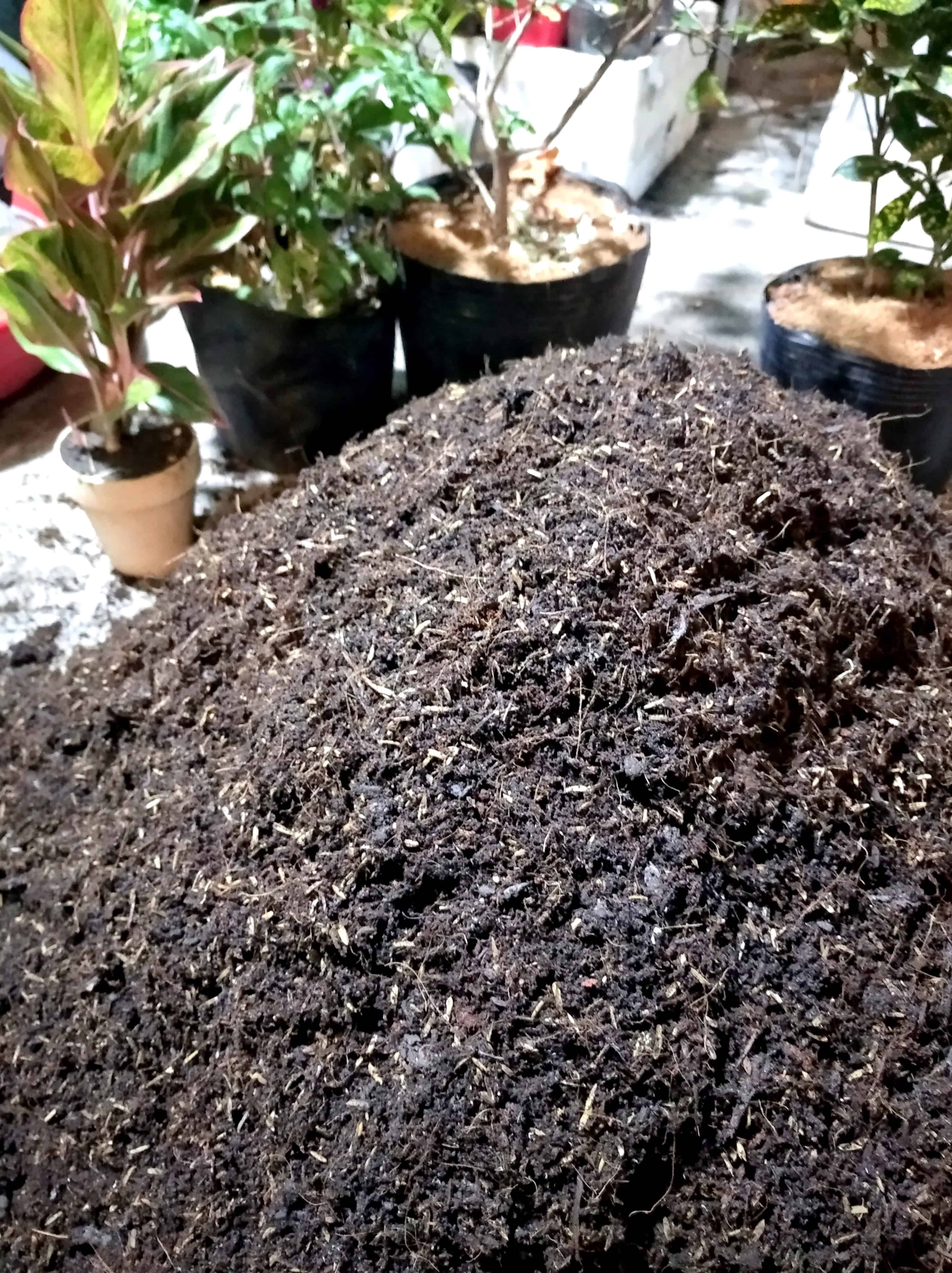 Đất trồng cây cảnh đất trồng rau quả giá thể trồng cây 2kg