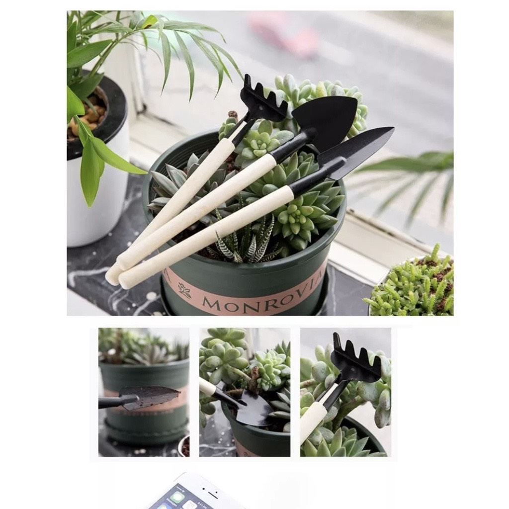 Bộ Xẻng Cào Mini trồng cây cảnh 3 Món