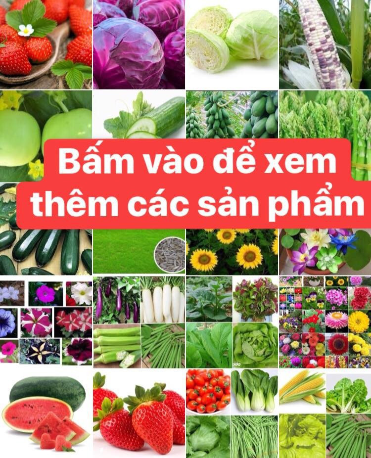 pmA3o0_simg_d0daf0_800x1200_max.jpg