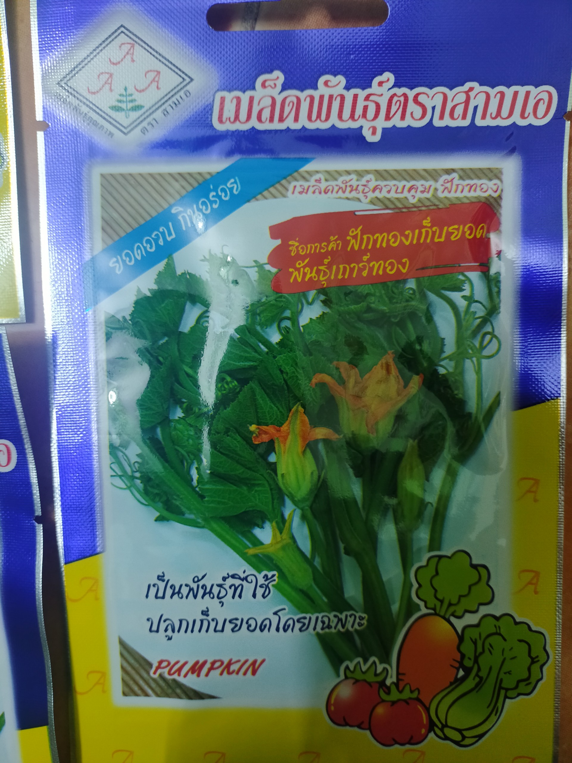 Hạt giống bí siêu ngọn nhập khẩu thái lan