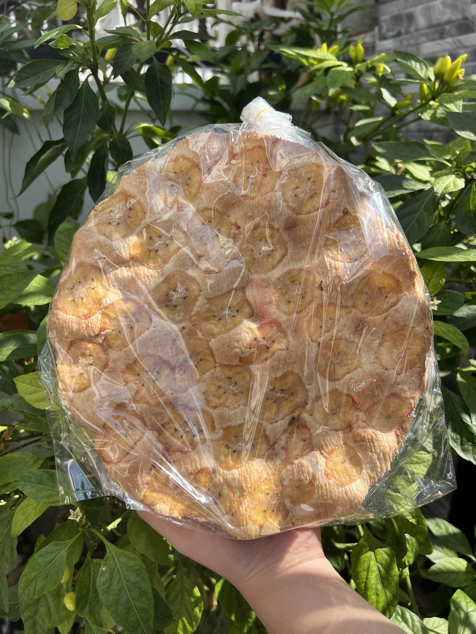 Bánh phồng chuối nướng chín sẵn (gói 5 cái x 24cm) đặc sản Miền Tây. Ăn vặt Thanh Trúc 3.