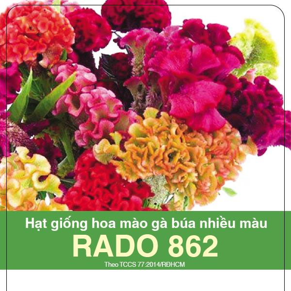 [HCM]Hạt giống hoa mào gà búa nhiều màu Rado 862_gói 01g. tặng 01 gói phân 10g .