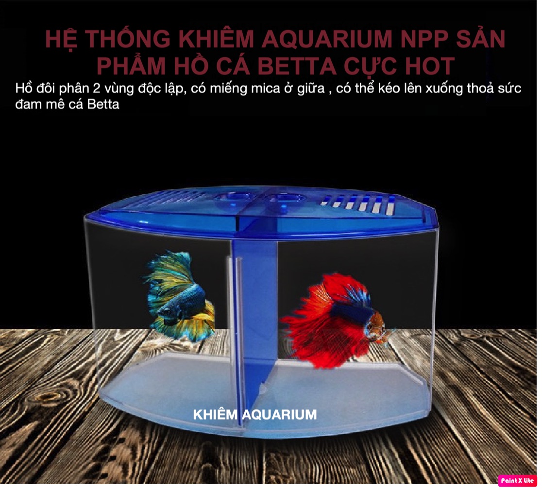 Bể cá betta mini - hồ cá mini để bàn bằng nhựa cao cấp 1& 2 ngăn