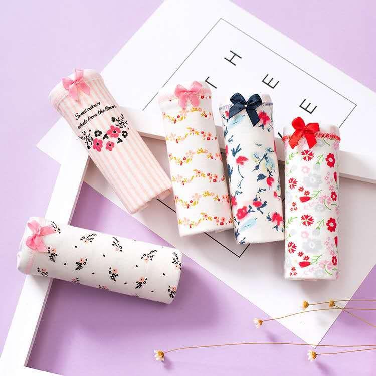 Combo 5 quần cotton siêu cute