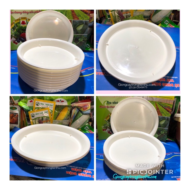Đĩa lót chậu cây cảnh phi 35