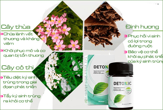 [HCM]Thực phẩm bảo vê sức khỏe Detoxic