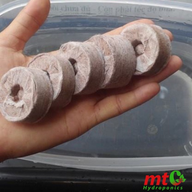 10 viên nén ươm hạt mụn dừa - nảy mầm 99%