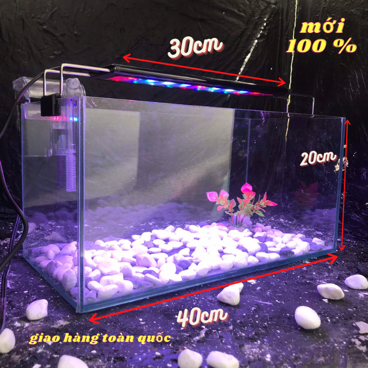 Bể cá mini 40cm COMBO đầy đủ dành cho nuôi cá cảnh để bàn
