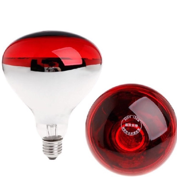 Bóng đèn hồng ngoại sưởi thú y công suất 200W