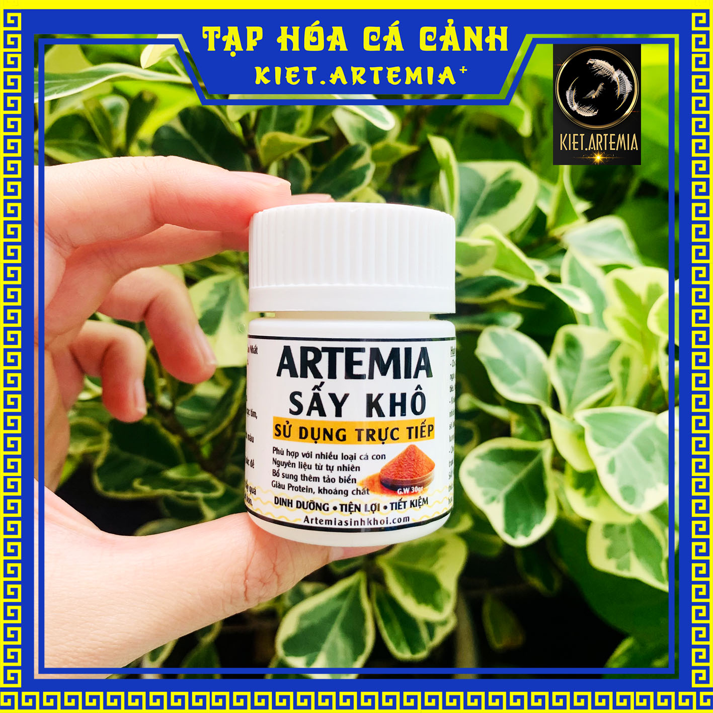 Artemia sấy khô cho cá bột, atermia sấy khô cao cấp, thức ăn cho cá cảnh