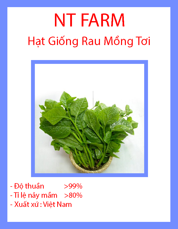 Hạt giống rau mồng tơi