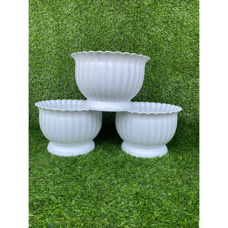 Chậu khía bầu để bàn trồng cây siêu xinh