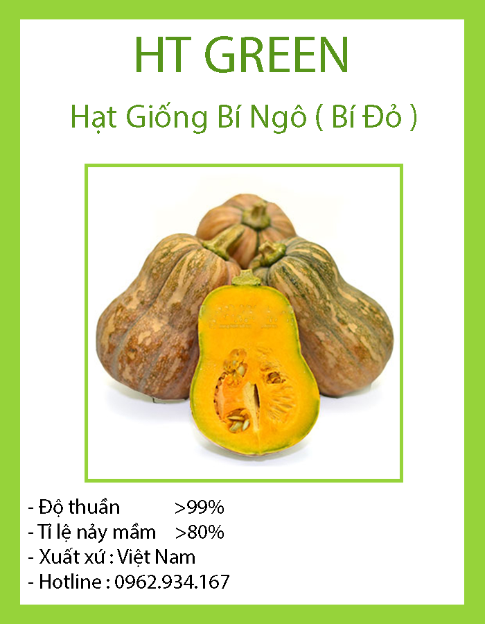 Hạt giống bí đỏ