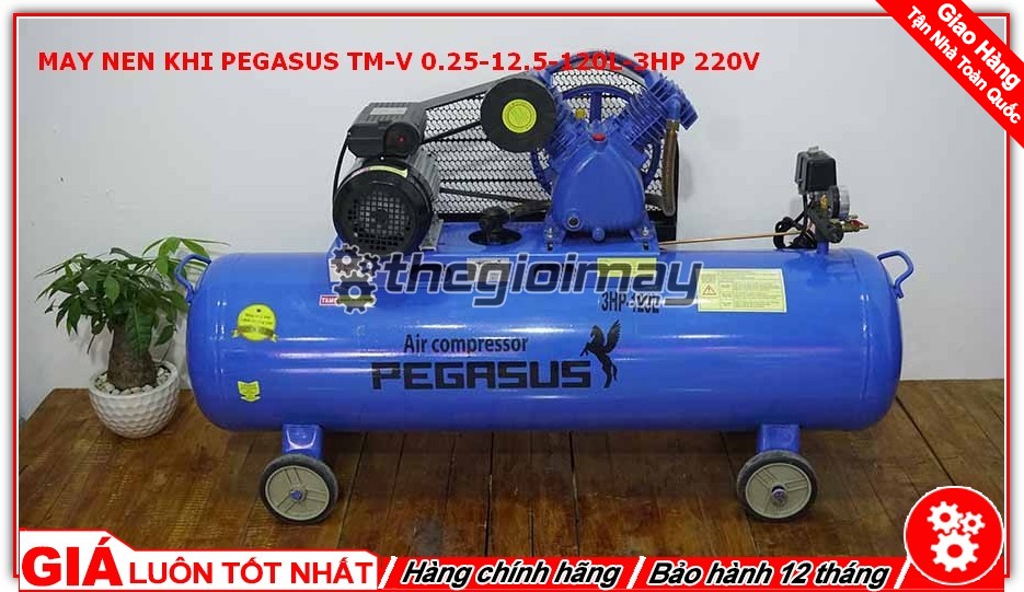Máy nén khí dây đai pegasus tm-v-0.25/12.5-120l-3hp-220v