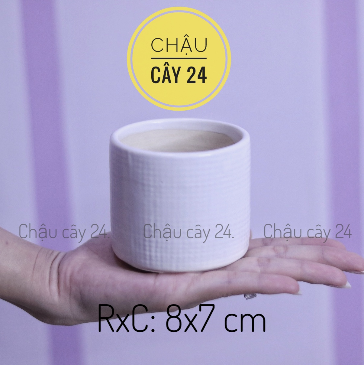 Chậu cây mini trồng sen đá, xương rồng, cây cảnh để bàn, terrarium hình trụ kẻ