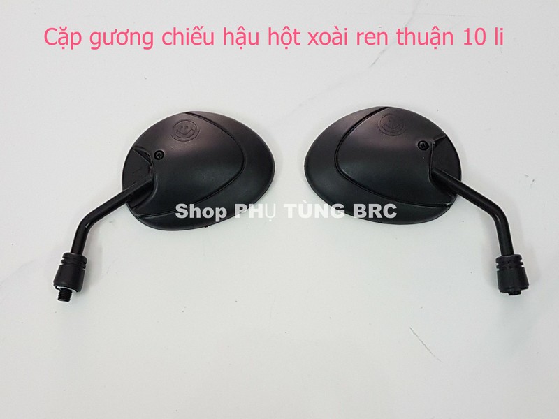 Cặp gương chiếu hậu hột xoài