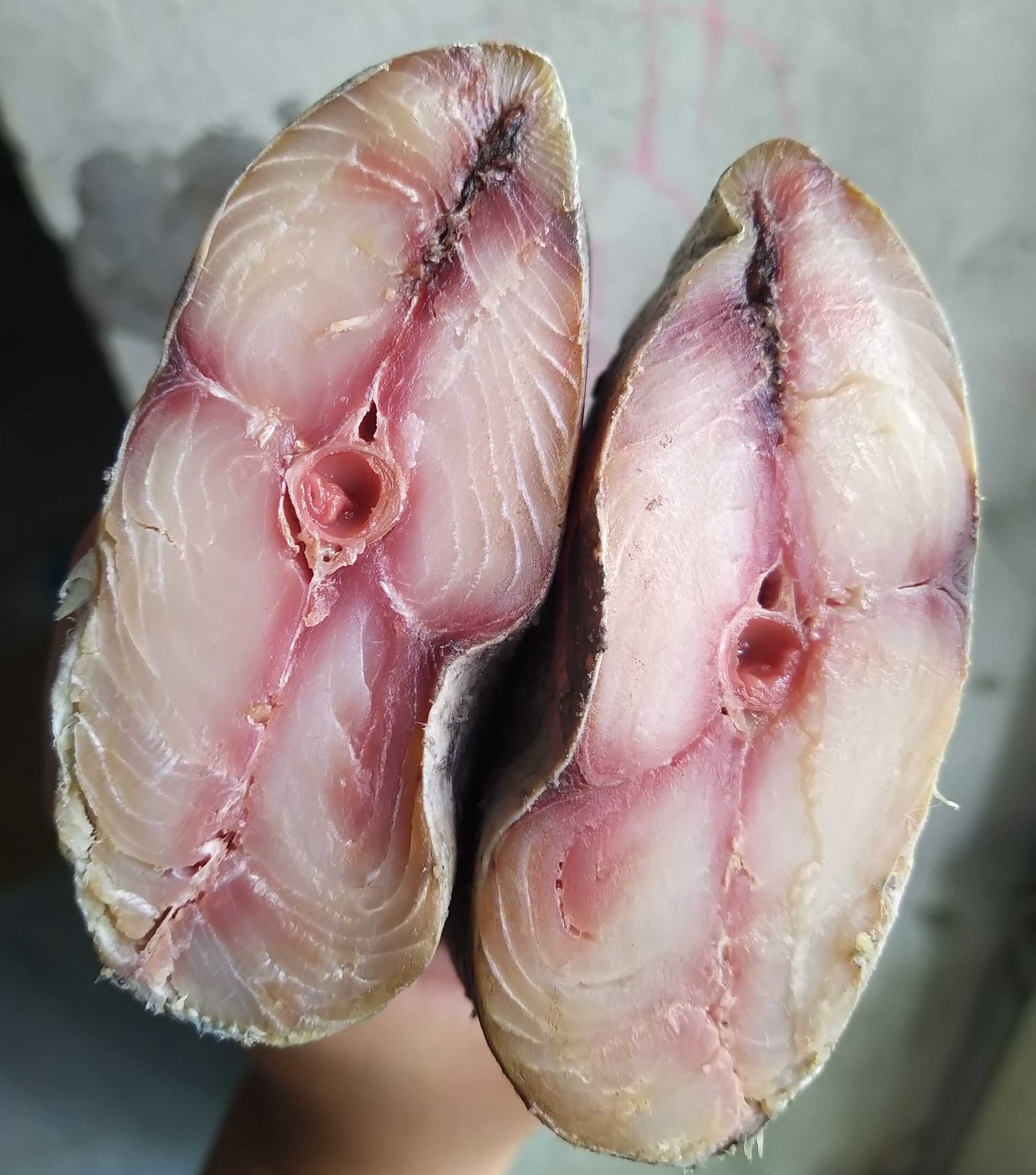 Mắm cá thu hương nguyên con loại 1 - đã bỏ đầu nặng 1kg - 1.1kg