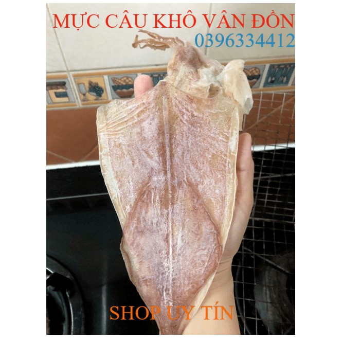 1 con mực khô câu vân đồn, to bằng bàn tay, y hình, khô mực to ngon