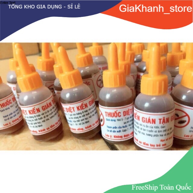 Thuốc diệt kiến gián tận gốc bằng dung dịch sinh học