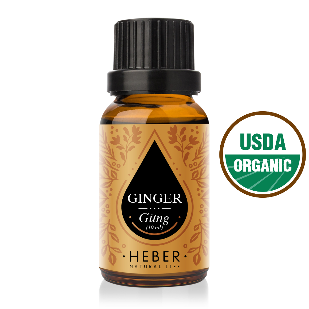Tinh Dầu Gừng Ginger Essential Oil Heber Vietnam, 100% Thiên Nhiên Nguyên Chất, Cao Cấp Nhập Khẩu, Kiểm Nghiệm Quatest 3, Xông Thơm Phòng