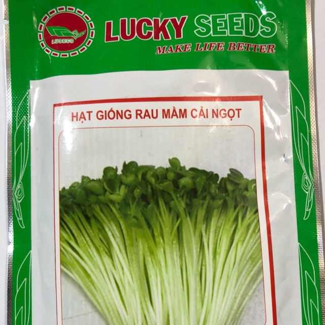 Hạt giống rau mầm cải ngọt