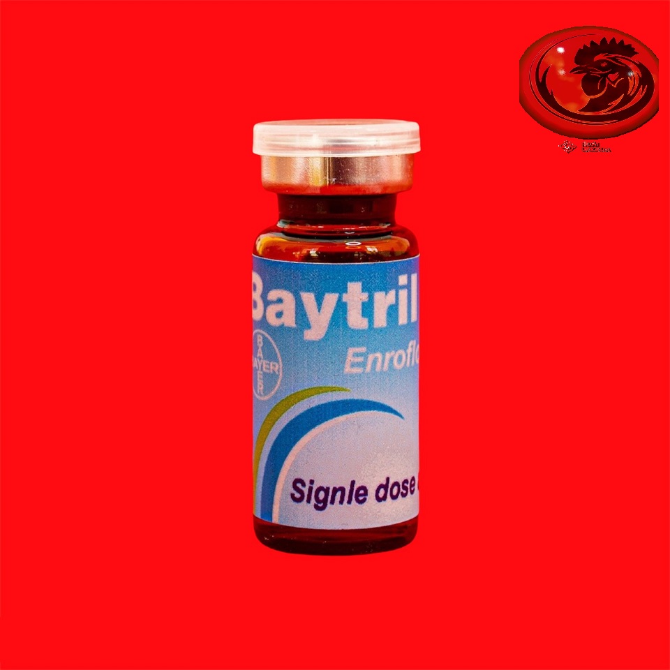 BAYTRILL MAX 10% khò khè, tiêu chảy gà đá 10ml