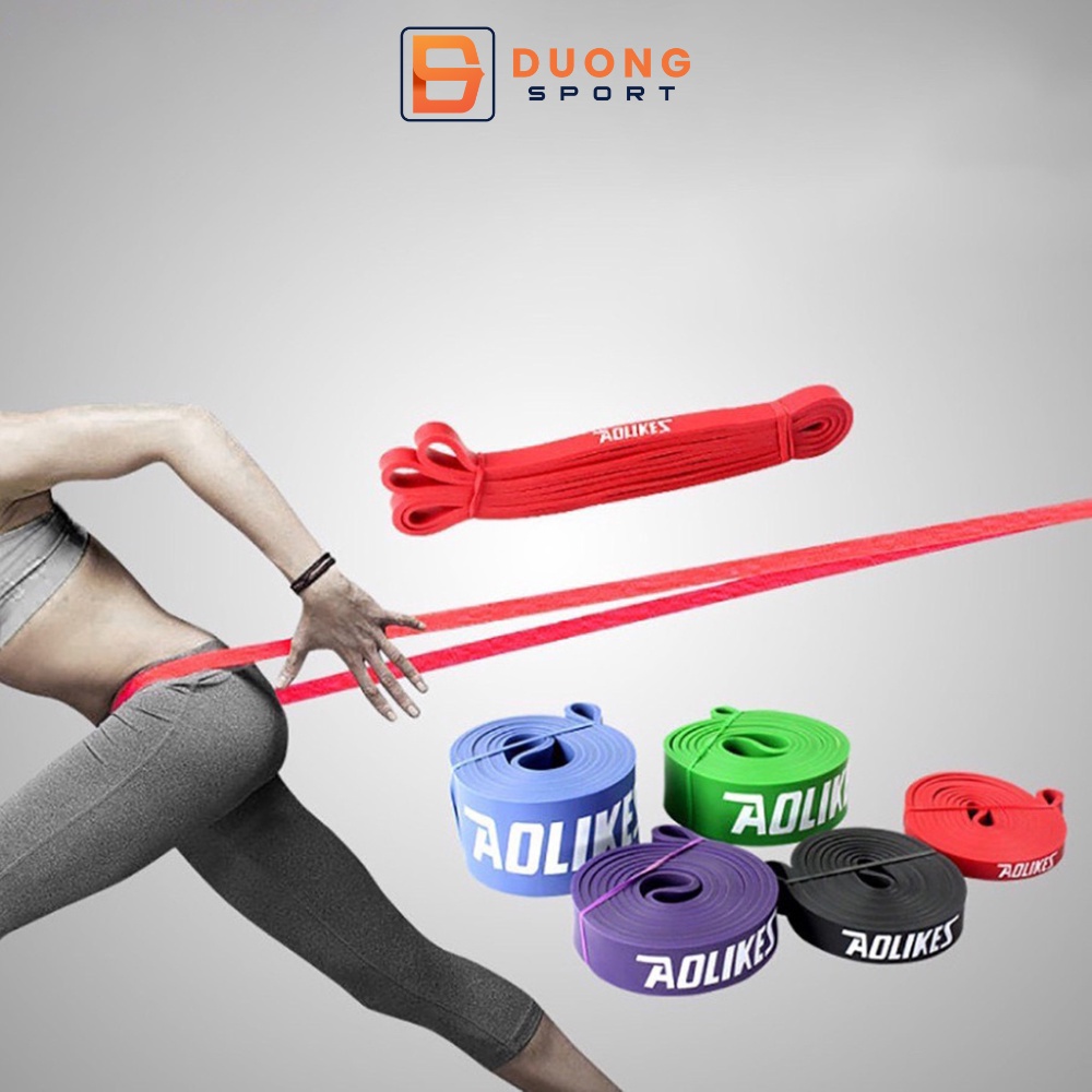 Dây Kháng Lực Đa Năng Power Band Hỗ Trợ Tập Luyện Chính Hãng Aolikes AL 3602