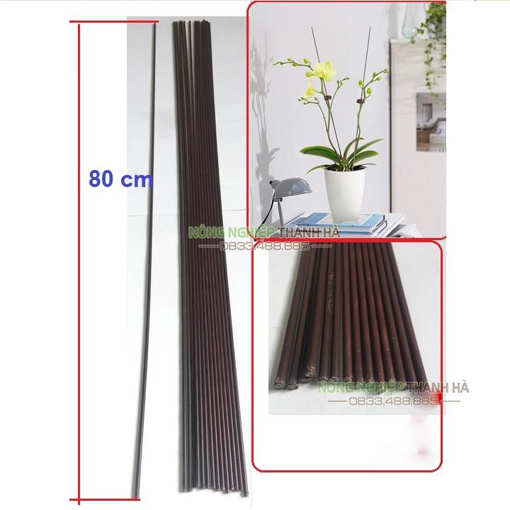 10 que cắm Lan màu nâu lõi thép đặc dài 70 cm