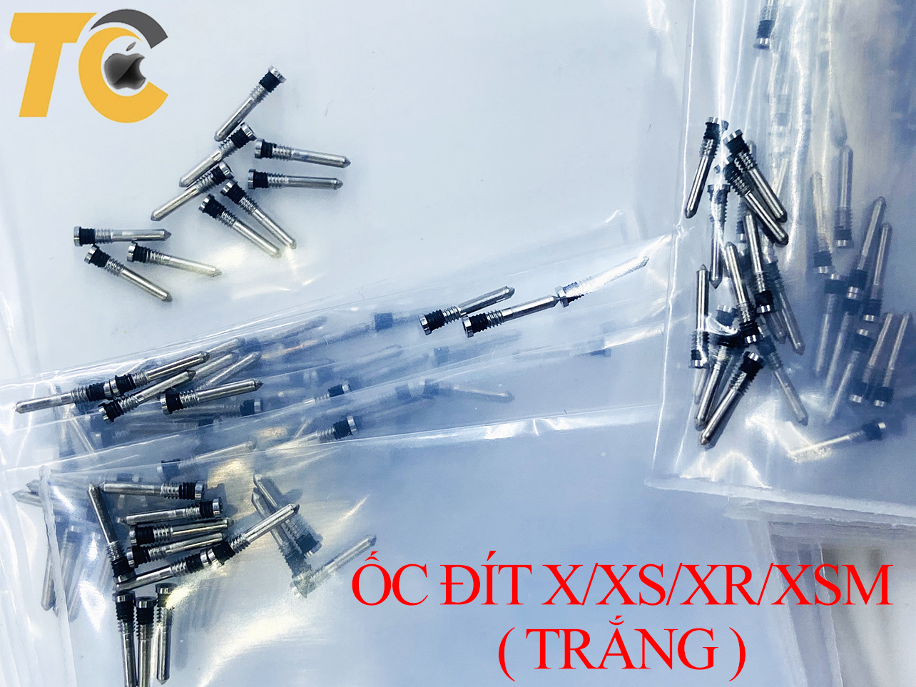 [10 con ốc] Ốc Đít iphone X/XS/XR/XSM màu Trắng bộ vít sửa chữa điện thoại, linh kiện iphone Trung Côi Apple