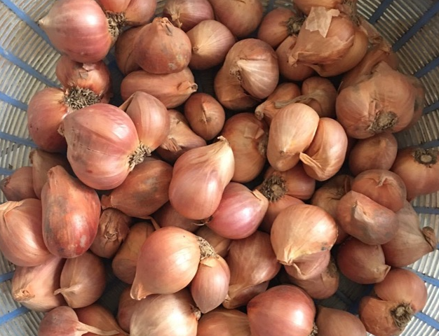 Hành ta ngon, củ mẩy 100g