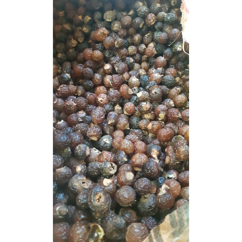 Quả bồ hòn khô tách hạt 49k1 kg