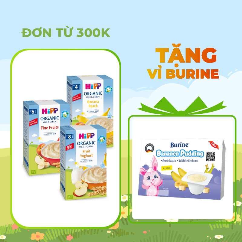 Bột ăn dặm dinh dưỡng Sữa, Hoa Quả HiPP (Burine) Organic 250g dành cho bé từ 4-6 tháng tuổi.