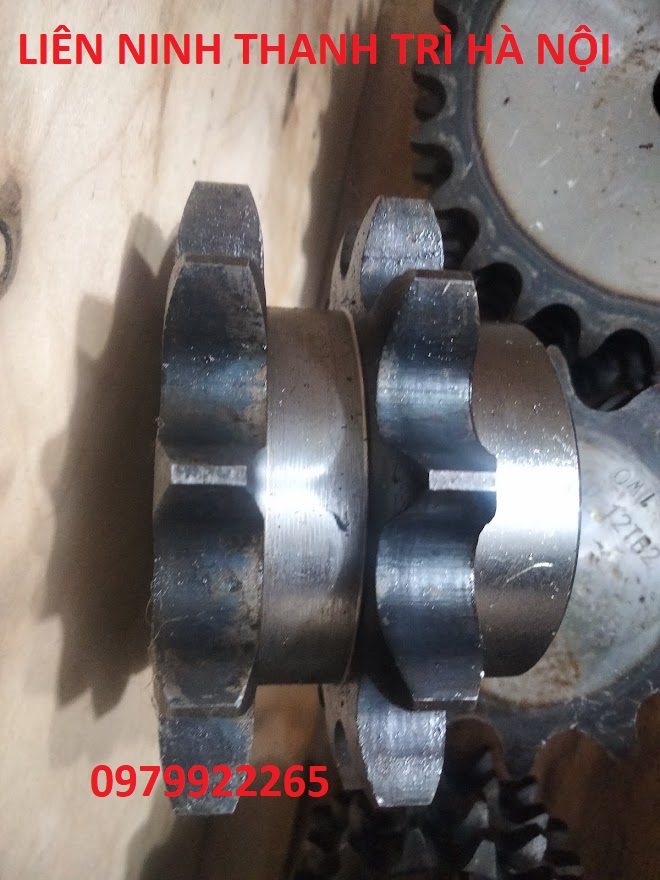 Bánh răng xích đôi 60 14 đến 17 răng. nhông đôi 60