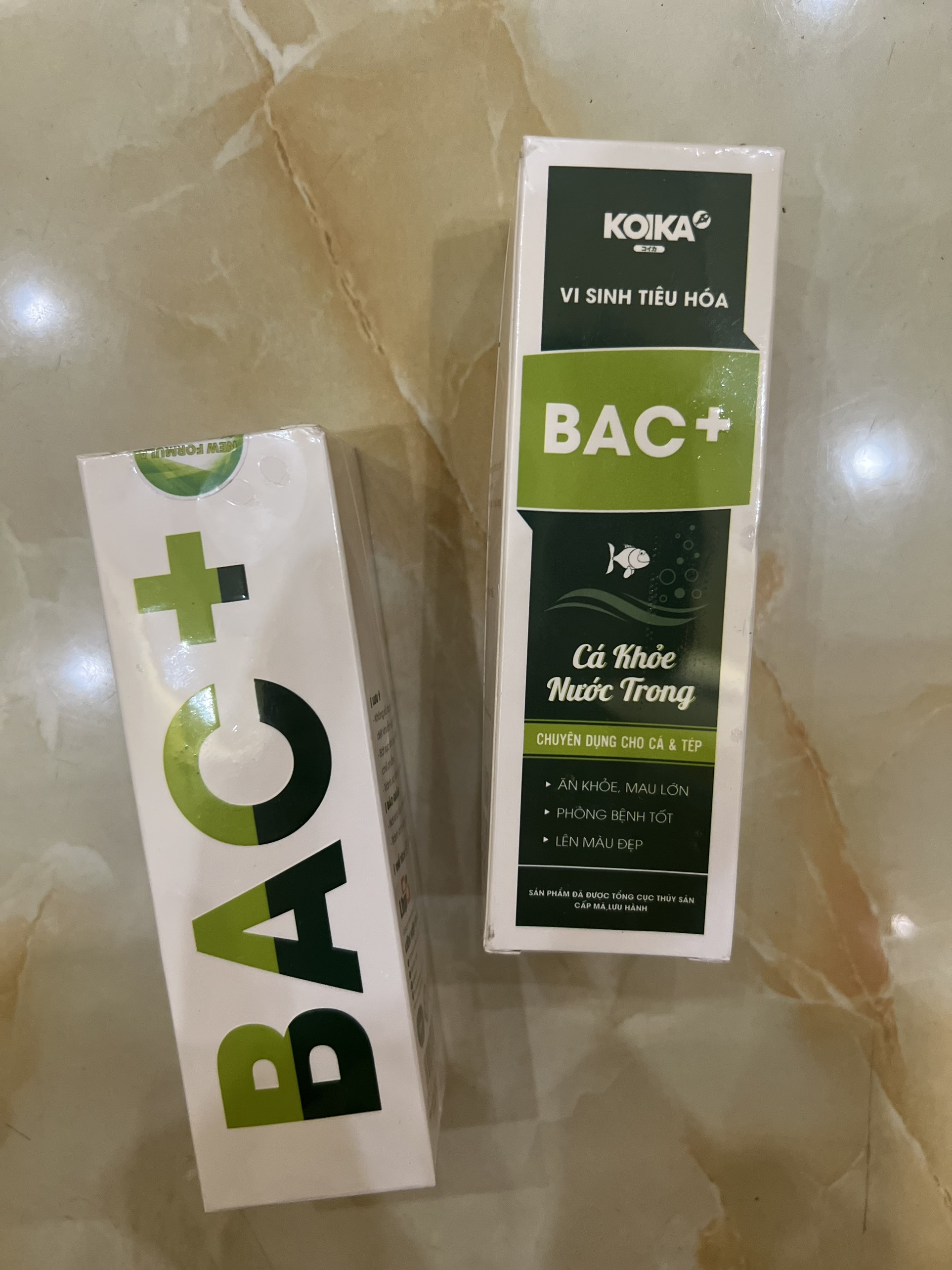 Vi sinh tiêu hóa koika bac+