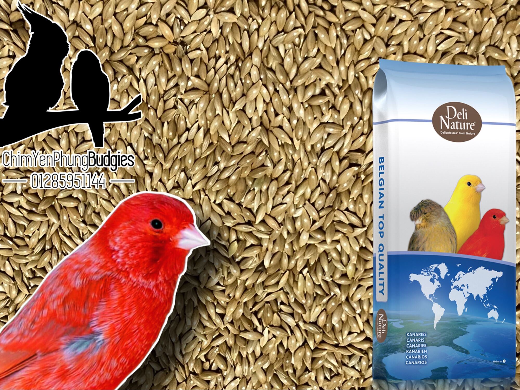 2kg hạt láng Deli Nature [thức ăn: yến hót, chim cảnh, hamster...] - xuất xứ: Bỉ 🇧🇪🇧🇪🇧🇪