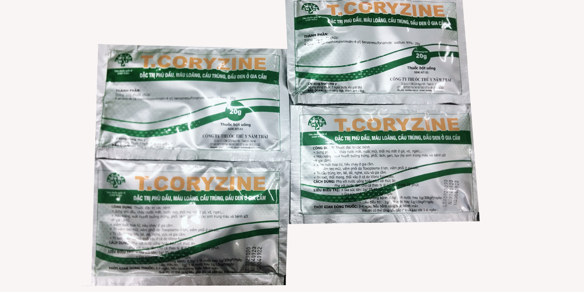 Năm Thái Tcoryzine 20g sưng mặt phù đầu