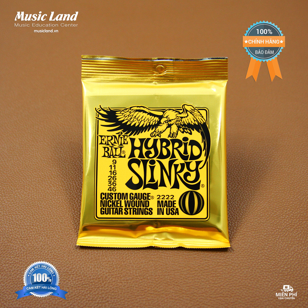 Dây đàn guitar điện ernie ball 2222 – chính hãng