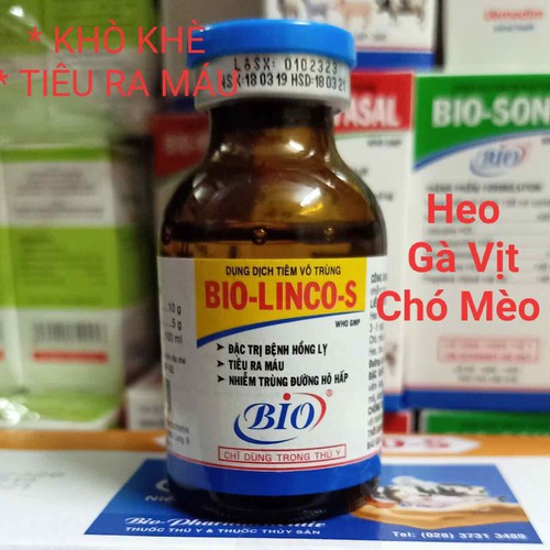 Bio LincoS 100ML Thuôc gà đá trị khẹt, khò khè gà đá