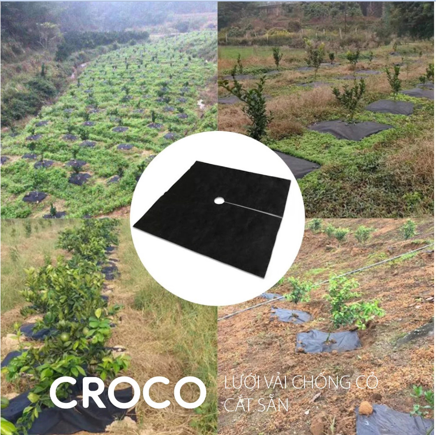 Lưới vải chống cỏ croco