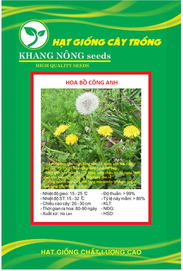 Hạt giống bồ công anh - gói 50 hạt