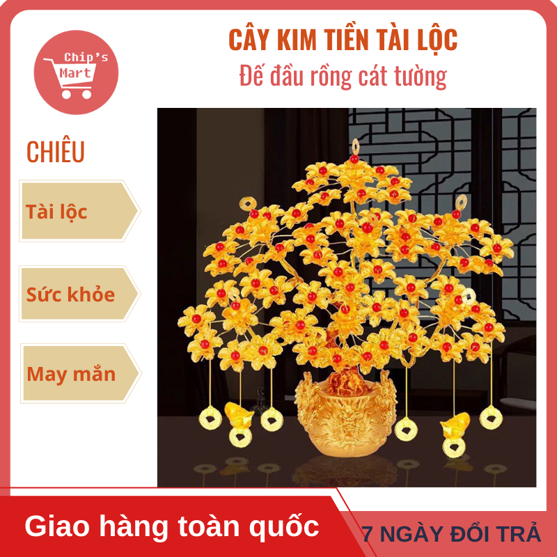 [Tài Lộc] Cây Kim Tiền Phát Tài Lộc – Cây Thần Tài Phong Thủy trang trí trong nhà ngày Tết