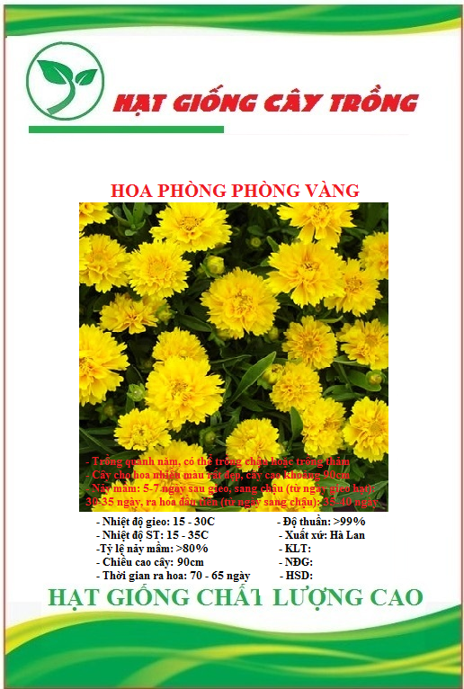 Hạt giống hoa phòng phòng vàng ct458 - gói 50 hạt