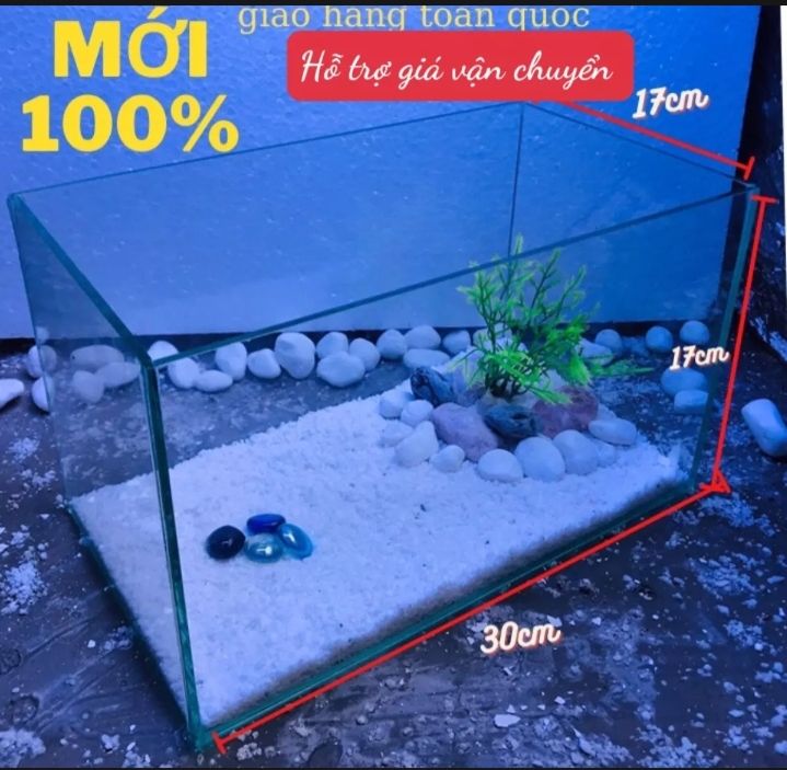 Bể Cá Mini Phong Thủy (30 x 17 x 17) Kính 5 ly
